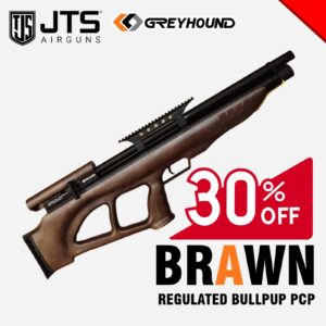 GREYHOUND BRAWN BULLPUP BY JTS